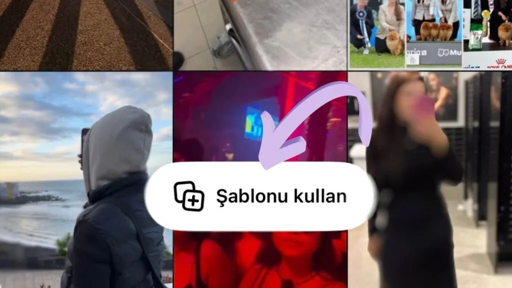 Instagram Reels şablonu kullan butonu